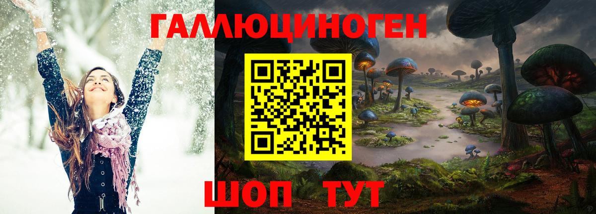Галлюциногенные грибы GOLDEN TEACHER Зеленогорск