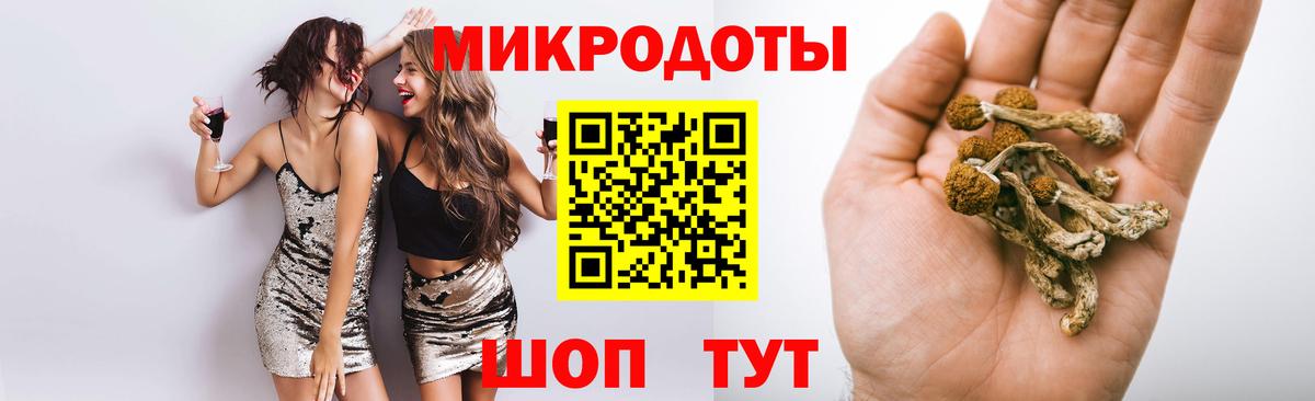 Зеленогорск  Псилоцибиновые грибы MAGIC MUSHROOMS  Галлюциногенные грибы Cubensis  Вход с VPN 