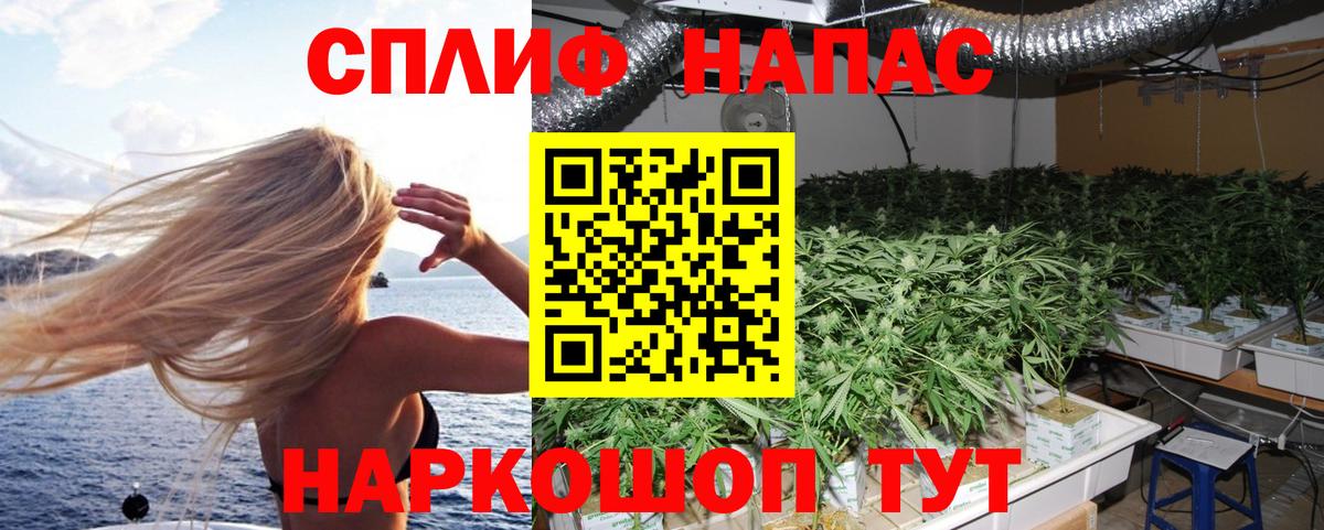 Конопля конопля  Вход с VPN  Бошки марихуана SATIVA & INDICA  Зеленогорск  Бошки Шишки Amnesia 